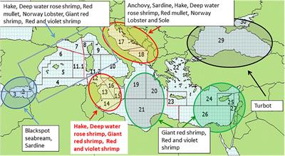 How Can We Reduce the Overexploitation of the Mediterranean Resources?